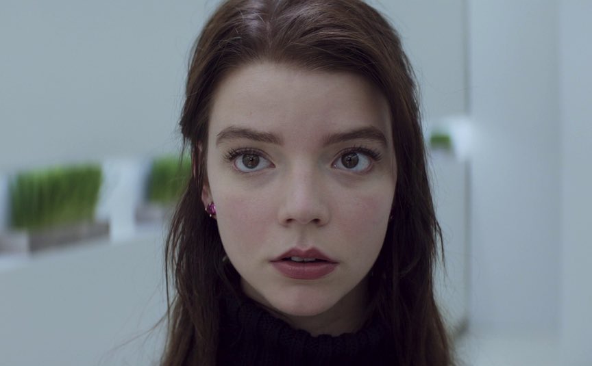 Thoroughbreds