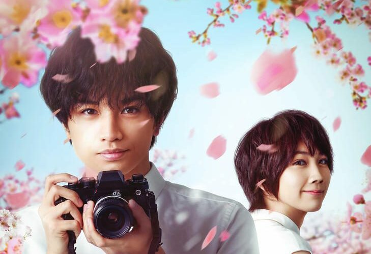 Il mio amore è un fiore di ciliegio: il commovente film di Netflix tratto dal bestseller di Keiichi Uyama