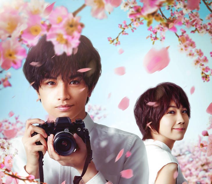 Il mio amore è un fiore di ciliegio: il commovente film di Netflix tratto dal bestseller di Keiichi Uyama