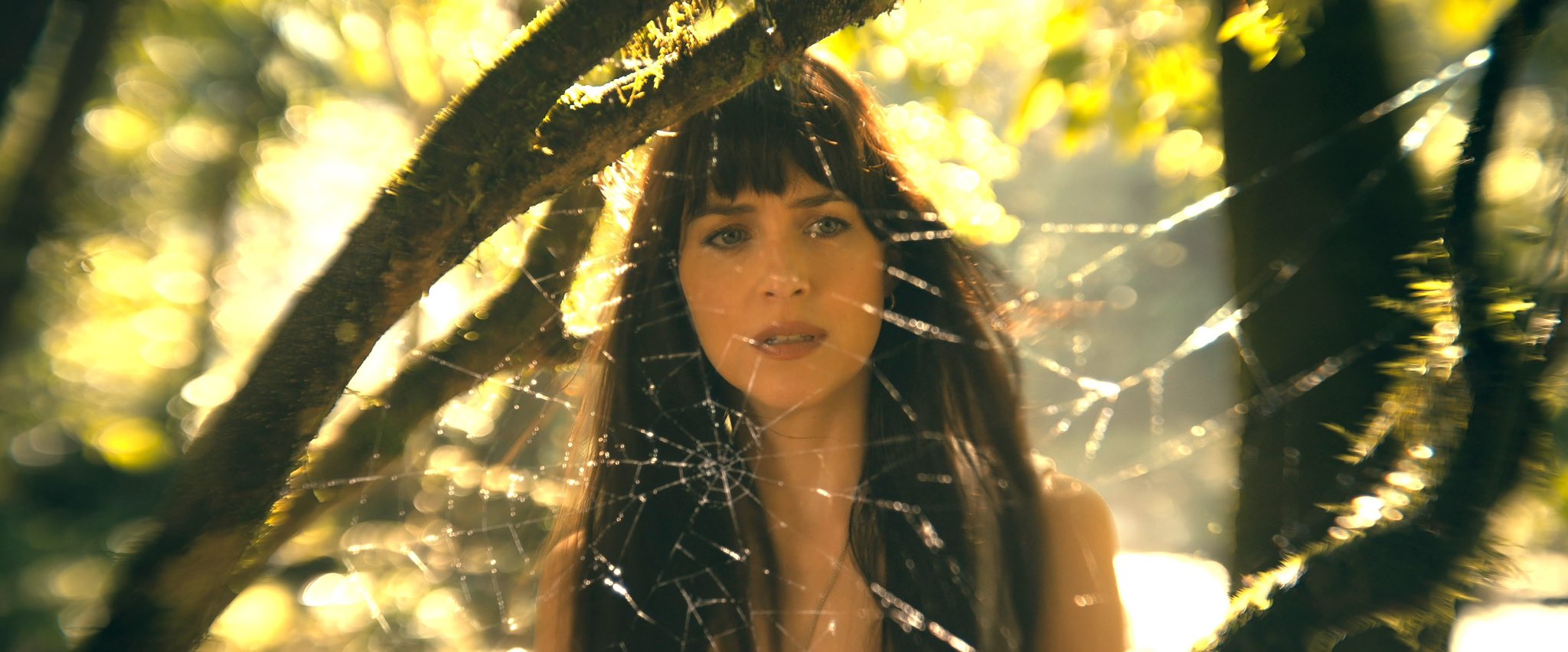 Madame Web: il trailer del film con protagonista Dakota Johnson
